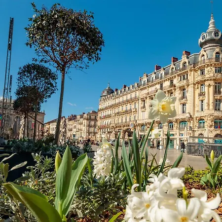 Apartamento Face A La Avec Parking Palavas-les-Flots